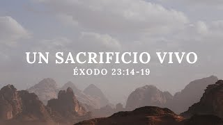 Éxodo 231419 quotUn Sacrificio Vivoquot [upl. by Alduino]