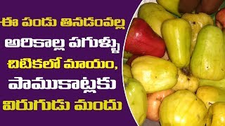 జీడి ఉపయోగాలు  jeedi pandu usesduring pregnancyskincashew nuts benefits and side effects [upl. by Hamfurd]