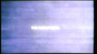 Saatchi amp Saatchi Advertising Worldwide Global Award Winning TV Ads 198788 Part 2mpg [upl. by Whorton]