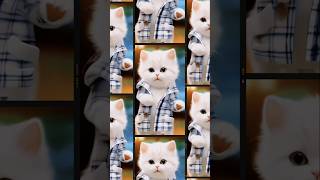 Cat dance viral video  cat lover minhaz cat cats catvideos 0080 0093 shorts viral [upl. by Piero709]