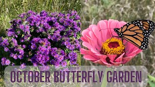 October Butterfly Garden [upl. by Naejamron932]