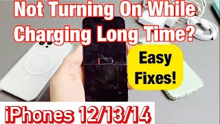 How To Clean iPhone Charging Port 2022 [upl. by Lekzehcey262]