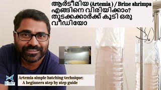 ആർടീമിയ Artemia   Brine shrimps എങ്ങിനെ വിരിയിക്കാം  Artemia simple hatching technique guide [upl. by Latton]