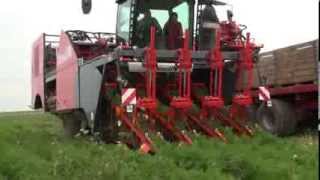 Dewulf ZKIV  4row selfpropelled carrot harvester [upl. by Octave670]