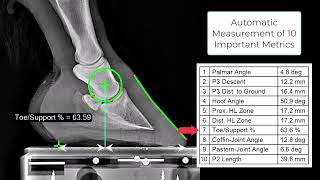 MetronIQ  Is your Clinic using the Latest Equine Hoof Tools [upl. by Fredie]