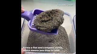 What Is The Best Clay Clumping Cat Litter [upl. by Limay89]