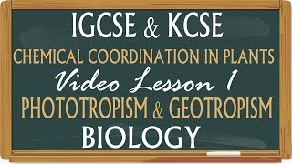 WithMe KCSE amp IGCSE Biology Coordination and Response in Plants  Phototropism amp Geotropism [upl. by Meg609]