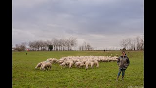 2024 Pastori Pozza Renato Monica Cantele Mario Dal Prà [upl. by Caterina]