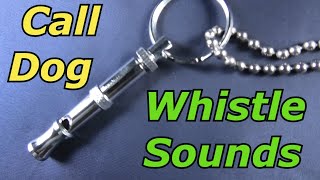 Dog Whistle Sound to Call Dog [upl. by Ati]