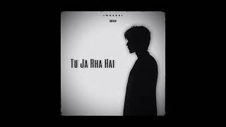 TU JA RHA HAI  EMOSOUL  OFFICIAL AUDIO [upl. by Nolyar]