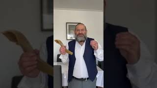 Sonidos del Shofar y Mensaje aproximándonos a Rosh Hashaná 5785  Año Nuevo Universal [upl. by Haimirej665]