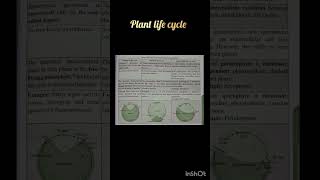 Plant Life Cycle Notes  Alternation of generation neet neet2025 neet2026 [upl. by Gehlbach]