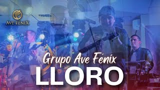 LLORO  Grupo AVE FÉNIX Audio versión Estudio [upl. by Phyl]