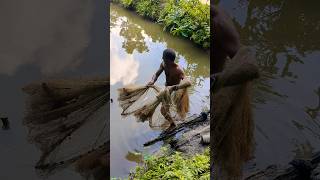 Fishing with nets shorts netfishing catchingfish fishingvideo [upl. by Aleakcim]