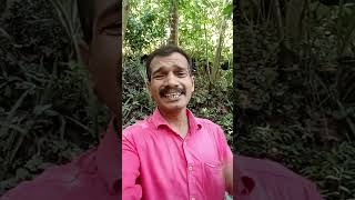 വരുന്നുണ്ട് പല്ലക്കുംതിരുവാറന്മുള song varunnundu pallakkum [upl. by Eirrehc]