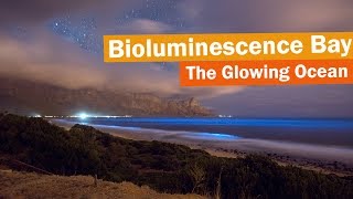 Bioluminescence Bay Searching for bioluminescent plankton near Cape Town [upl. by Nnylkoorb495]