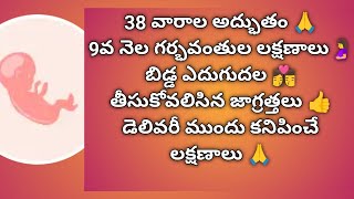 9 Month Of Pregnancy Symptoms in Telugu🤰9 వ నెల గర్భిణీల లక్షణాలు తీసుకోవలసిన జాగ్రత్తలు🤰subscribe🙏 [upl. by Anerual849]