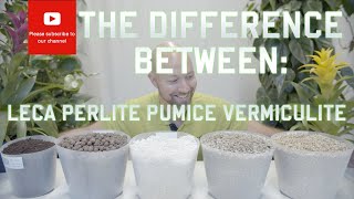 What’s the difference between LECA perlite pumice and vermiculite [upl. by Lexine]