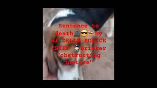 Sentence to Death😱 by Nicholas Brinker WI Dells police Chief OBSTRUCTING JUSTICE WHY [upl. by Assillim]