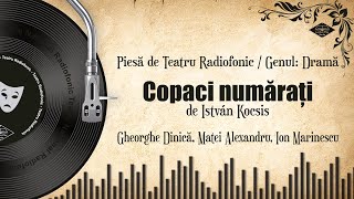 Copaci numărați  István Kocsis  Teatru pe Vinil  teatru radiofonic drama [upl. by Hsara]