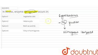 In Nostoc enzyme nitrogenase occurs in  CLASS 12  MICROBES IN HUMAN WELFARE  BIOLOGY  Doub [upl. by Zetram507]