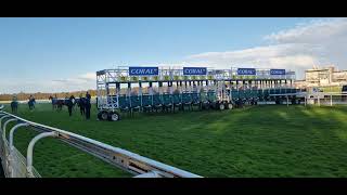 York racesthe very last raceOctober finale 2024with Two Brothers winning [upl. by Serrell437]