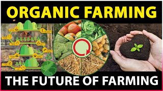 Importance of Organic Farming  What is Organic Farming  Sustainable Agriculture [upl. by Atlante62]