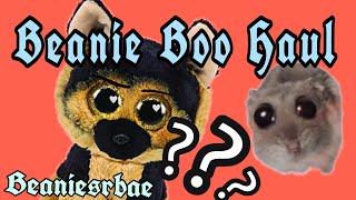 Beanies R Bae Beanie Boo Haul 🤠👻beanieboo beaniesrbae [upl. by Benji]