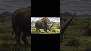 ANIMAIS EXTINTOS EP27 Unicórnio da Sibéria Elasmotherium sibericum [upl. by Celestyn]