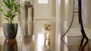 Kleenex Cottonelle TV Commercial Australia 2010 [upl. by Frannie81]