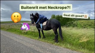 Zonder hoofdstel op buitenrit 🙈🦄 [upl. by Rania]