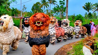 Asmr Lion dance and drumband parade in the village of sukodono [upl. by Fanchie]