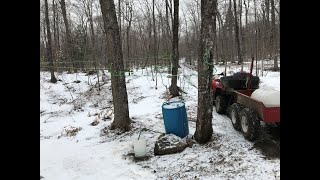 2021 Making Maple Syrup  Sirop dérable [upl. by Anuqahs]