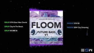 Echo Sound Works Floom V1 Demo [upl. by Calan]