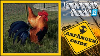 LS22 Anfänger Guide 🤠 Hühner  Farming Simulator 22 [upl. by Adamsen]