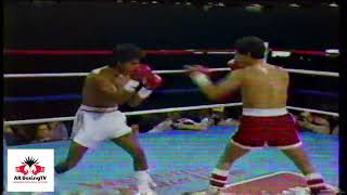 Wilfredo Gomez vs Lupe Pintor Original Canal 4l [upl. by Massimiliano]