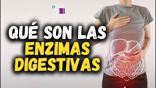 QUÉ SON LAS ENZIMAS DIGESTIVAS [upl. by Adiazteb]