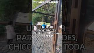 Próximamente te vamos a mostrar un lugar renovado de la Ciudad de Buenos Aires turismobuenosaires [upl. by Mogerly]