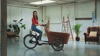 De Babboe Flow elektrische bakfiets [upl. by Odessa731]