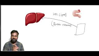 HDL amp LDL Metabolism what is good cholesterolநல்ல மற்றும் கெட்ட கொழுப்பு HDL LDL வளர்சிதை மாற்றம் [upl. by Admama]