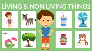 Living Things  Science Song for Kids  Elementary Life Science  Jack Hartmann [upl. by Eilahtan]