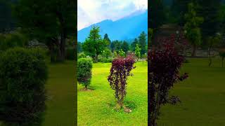 Pahalgam Kashmir Valley relaxing [upl. by Cary]