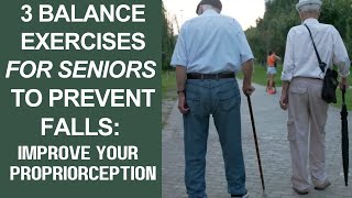 3 Balance exercises for seniors to prevent falls proprioceptive exercises [upl. by Tri]