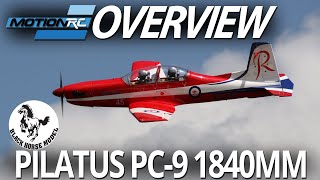 Black Horse Pilatus PC9 Maiden Flight amp Overview  Motion RC [upl. by Assertal192]