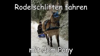 Schlittenfahrt mit Pony Rodelschlitten [upl. by Kcirdec894]