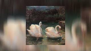 Swan Lake  Tchaikovsky 𝑆𝑝𝑒𝑒𝑑 𝑢𝑝 [upl. by Leahcimauhsoj275]