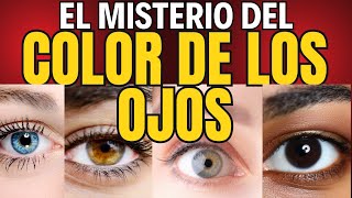 👁️ LA HISTORIA SECRETA DETRÁS DEL COLOR DE LOS OJOS 🔍 ¿Por qué hay diferentes colores 😱 DESCÚBRELO [upl. by Warthman]