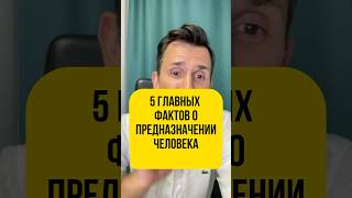 5 главных фактов о предназначении Забирайте ГАЙД читай описание [upl. by Kcirdet222]