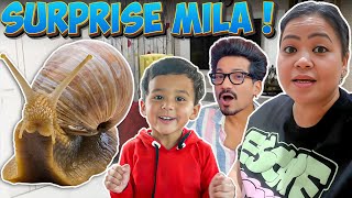 Ghar Aate Hi Mila Surprise 😱  Bharti Singh  Haarsh Limbachiyaa  Golla [upl. by Aiksas]