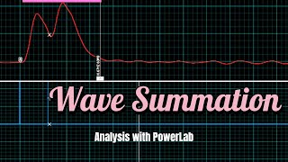 Wave Summation analysis with Powerlab Nerve and Muscle experiment 2 [upl. by Einatsed412]